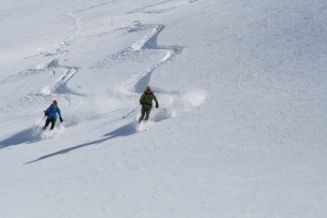 IMG 0152